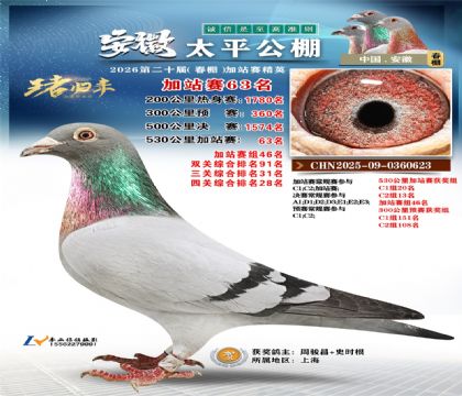 安徽太平加站赛63名