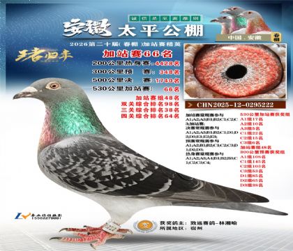 安徽太平加站赛66名