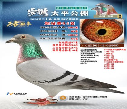 安徽太平加站赛64名