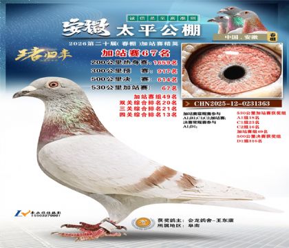 安徽太平加站赛67名