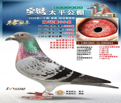 安徽太平加站赛68名