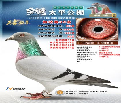 安徽太平加站赛69名