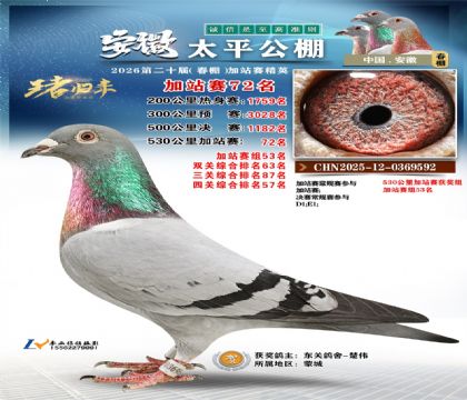 安徽太平加站赛72名