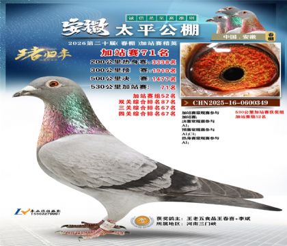 安徽太平加站赛71名