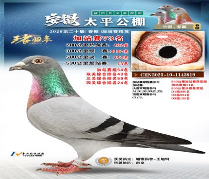 安徽太平加站赛73名