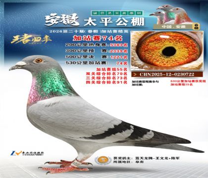 安徽太平加站赛74名