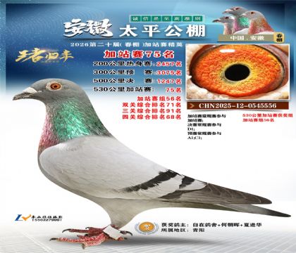 安徽太平加站赛75名