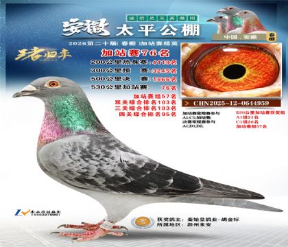 安徽太平加站赛76名