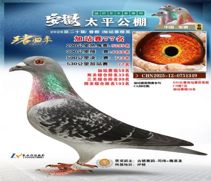 安徽太平加站赛77名