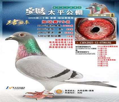 安徽太平加站赛78名