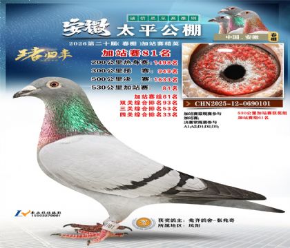 安徽太平加站赛81名