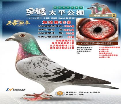 安徽太平加站赛82名