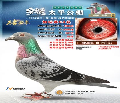 安徽太平加站赛84名