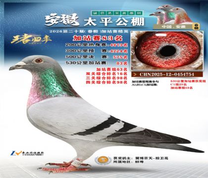 安徽太平加站赛83名