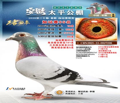 安徽太平加站赛86名