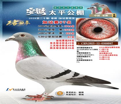 安徽太平加站赛87名