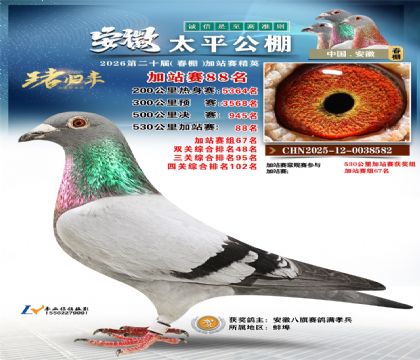 安徽太平加站赛88名