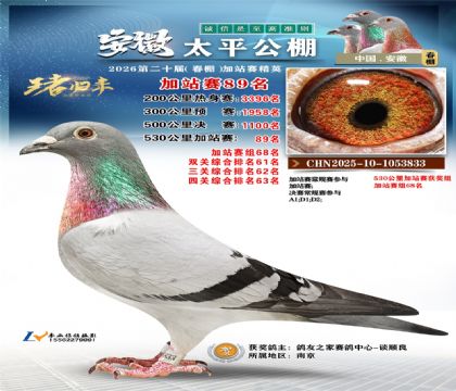 安徽太平加站赛89名