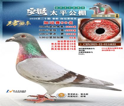 安徽太平加站赛90名