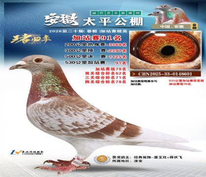 安徽太平加站赛91名