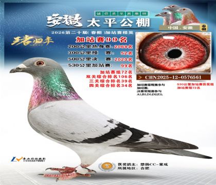 安徽太平加站赛99名