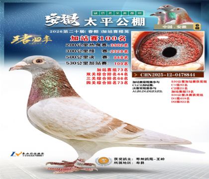 安徽太平加站赛100名