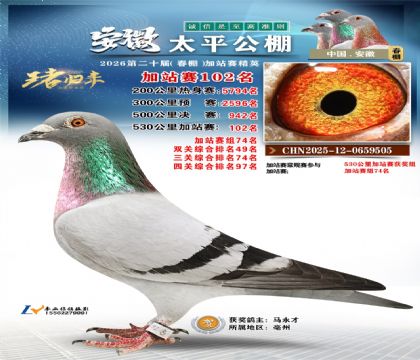 安徽太平加站赛102名