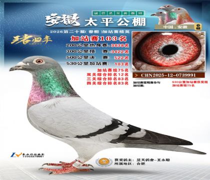 安徽太平加站赛103名