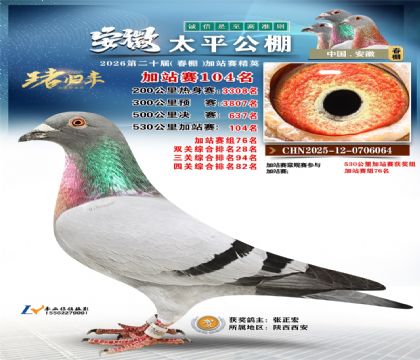 安徽太平加站赛104名