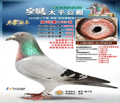 安徽太平加站赛105名