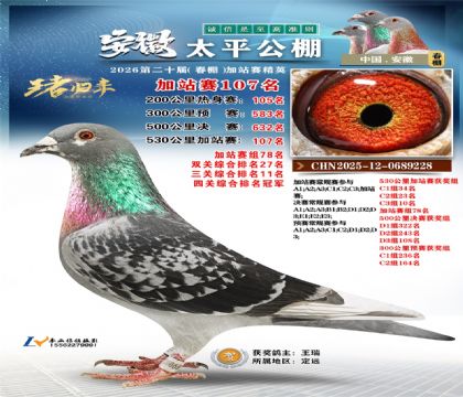 安徽太平加站赛107名