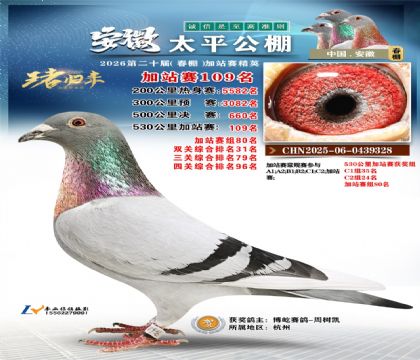 安徽太平加站赛109名