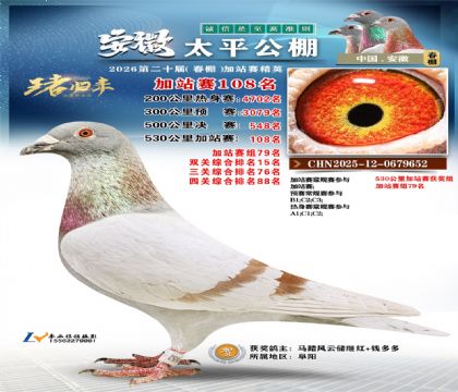 安徽太平加站赛108名