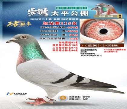 安徽太平加站赛113名