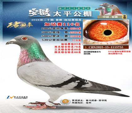 安徽太平加站赛116名