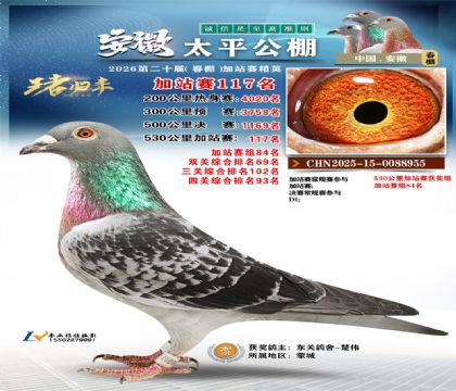 安徽太平加站赛117名