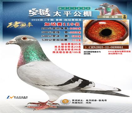 安徽太平加站赛119名