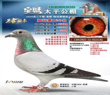 安徽太平加站赛120名