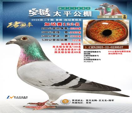 安徽太平加站赛122名