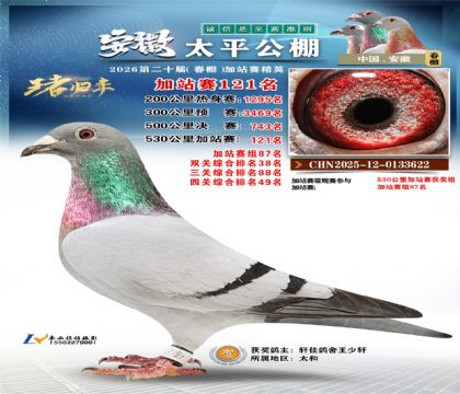 安徽太平加站赛121名