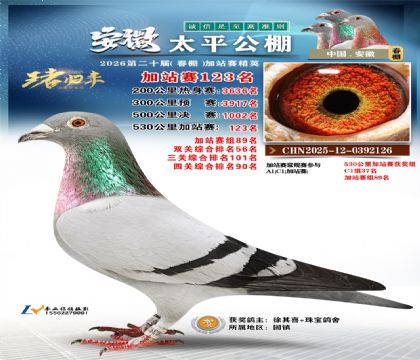 安徽太平加站赛123名