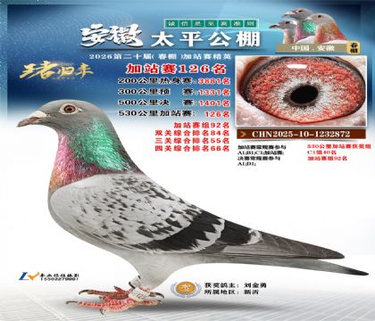 安徽太平加站赛126名