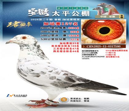 安徽太平加站赛127名