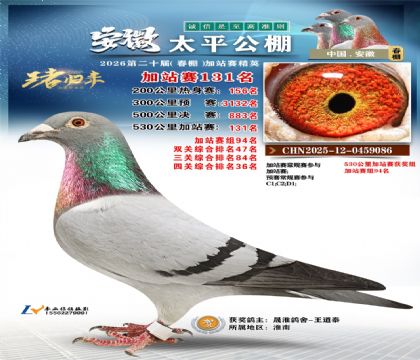 安徽太平加站赛131名