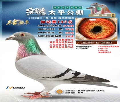 安徽太平加站赛132名