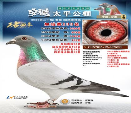 安徽太平加站赛133名