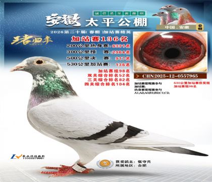 安徽太平加站赛136名