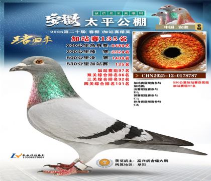 安徽太平加站赛135名