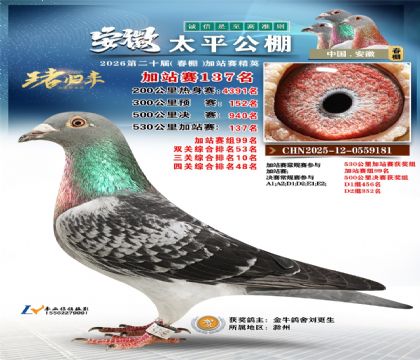 安徽太平加站赛137名