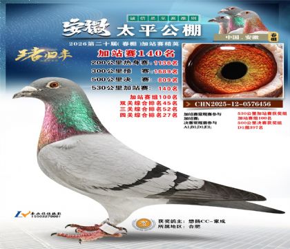 安徽太平加站赛140名